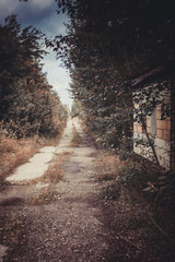 Fototapeta premium Abandoned interior in ruins of military settlement.