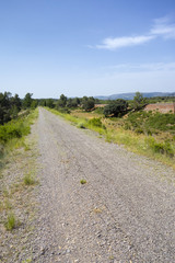 Green way black eyes in its passage by Barracas in Castellon
