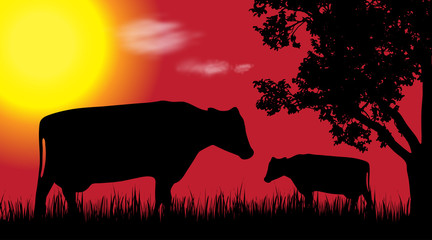 Vector silhouette of cow in nature at sunset.