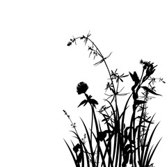 vector wild plants silhouettes