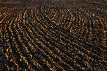 Black soil plowed field. Earth texture