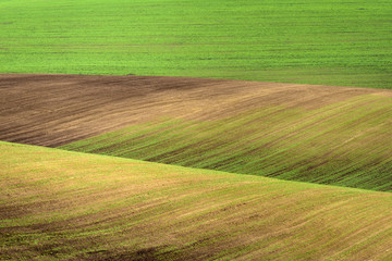 Obraz premium Wavy abstract landscape with green fields