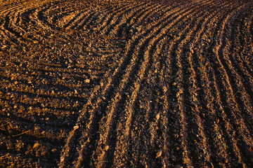 Black soil plowed field. Earth texture