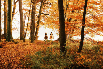 Reiter im Herbstwald