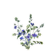 Blue small spring flowers,image pattern 