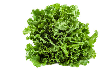 Fresh lettuce leaves isolated on white background
