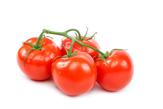 Branch of a fresh red tomato on a white background.