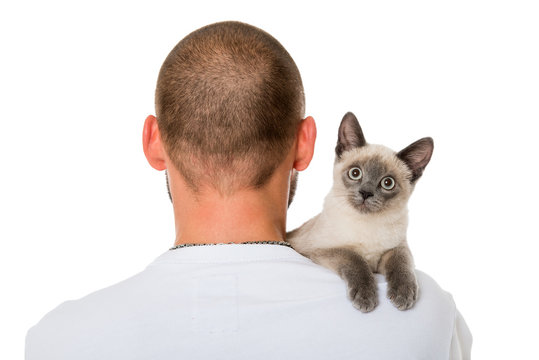 Katze auf der Schulter