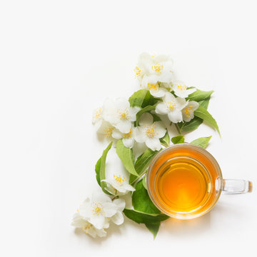 Jasmine flowers and cup of green tea on white background. Top view.