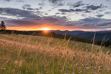 Sonnenuntergang im Schwarzwald