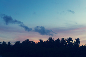 Palm trees silhouette against sunset sky