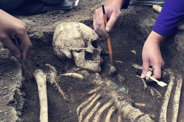 Archaeological excavations.  archaeologist with tools conducts research on human burial, skeleton, skull. - obrazy, fototapety, plakaty