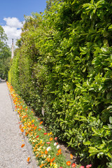 Naklejka premium Mur végétalisé et bordure de fleurs