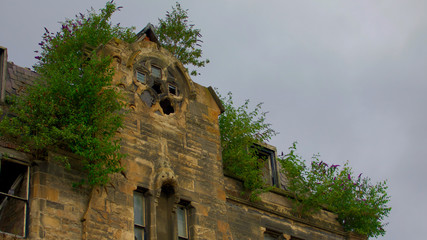 Old ruined building with bushes growing out of windows