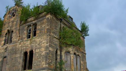 Old ruined building with bushes growing out of windows