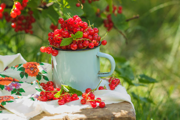 Metal mug with ripe red currant on the table
