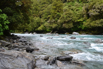 Naklejka na ściany i meble River in New Zealand