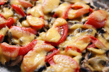 Meat dish with cheese and vegetables from the oven