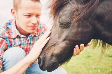 Miniature horses on the pasture