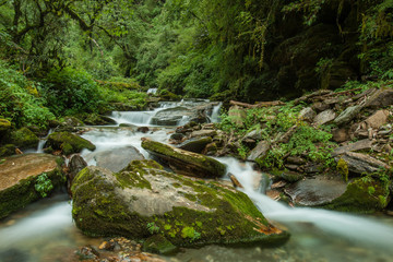 Gebirgsbach im Himalaya