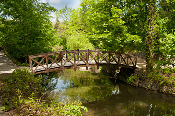 Fototapeta na wymiar Beautiful wooden footbridge