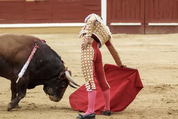 Photo sur Plexiglas Tauromachie Torero et taureau sur la place. Après-midi de taureaux Fête nationale.