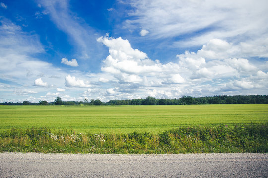 Summer sunny day asphalt road through green fields with blue cloudy sky in the background.
