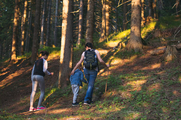 Fototapeta premium Mother, son and daughter walking in spring forest