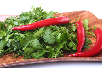 Fresh green cilantro, coriander leaves and chili pepper on wooden board.