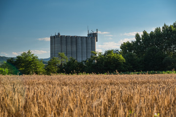 Fototapeta na wymiar Grain silo behind the barley field