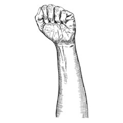 Woman hand gesture sketch. Girl wrist illustration isolated on white background. Hand drawn engraving style of female raise high up fist. Vector.