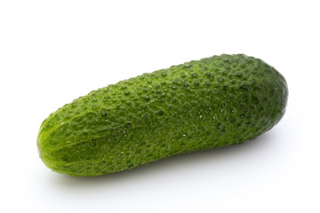 The first spring ecologically cucumbers.