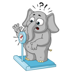 Big collection vector cartoon characters of elephants on an isolated background. Weighed on the scales