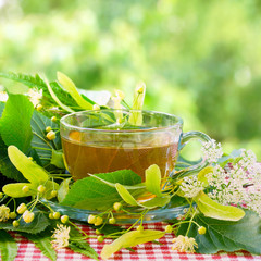 Herbal tea with linden flowers. Summer still life. - 163194885