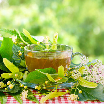 Herbal tea with linden flowers. Summer still life.