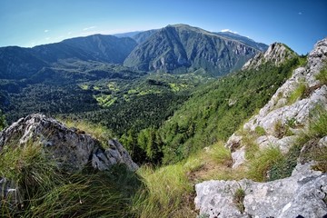 Tara Canyon In Durmitor National Park, Montenegro