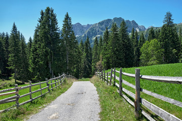 Road Mountain In Durmitor Park, Montenegro