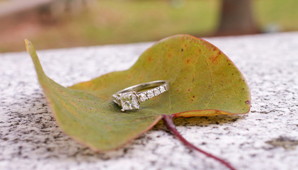 Diamond Ring on Green Leaf