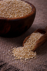 White quinoa seeds