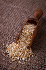 White quinoa seeds