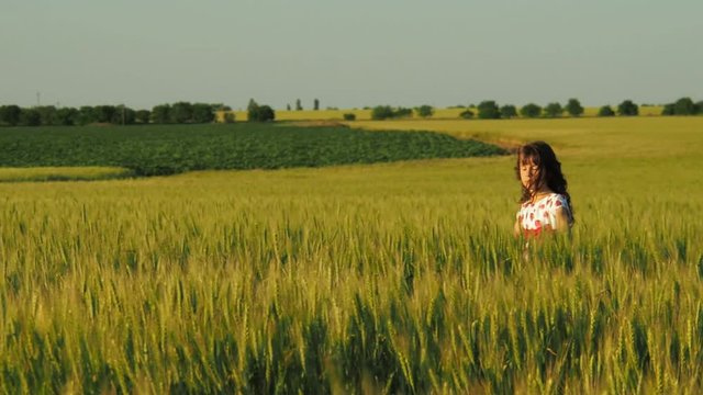 A child in a field of wheat. A little girl is walking in a wheat field.