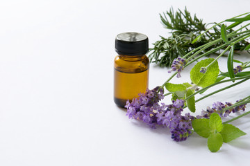 ラベンダー　ミント　アロマオイル
