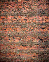 Naklejka premium Old brick wall texture background