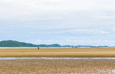 Fototapeta na wymiar Human on sand beach after low tide. Cloudy and sky