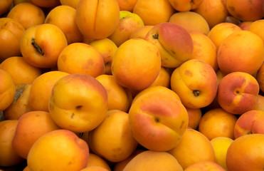Lots of apricot near