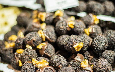 Colorful chocolate truffle candies at a street food market