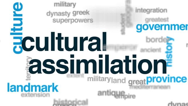 Cultural assimilation animated word cloud, text design animation.