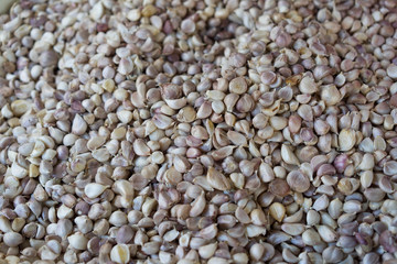 Garlic Fresh vegetable market in Thailand