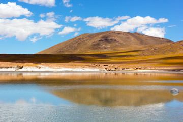 Lake, salt flats and volcanic mountains of San Pedro de Atacama, Chile, South America. Colorful panorama landscape with reflections after the rain