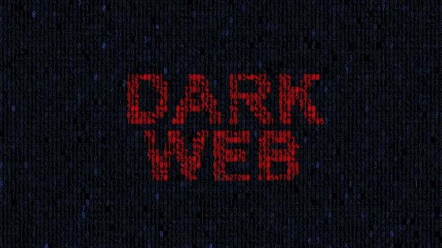 Animation computer monitor screen source code and text VIRUS sign warning blinking that the system had been hacked or infected by network virus. Virus alert background, security concept. system hacked